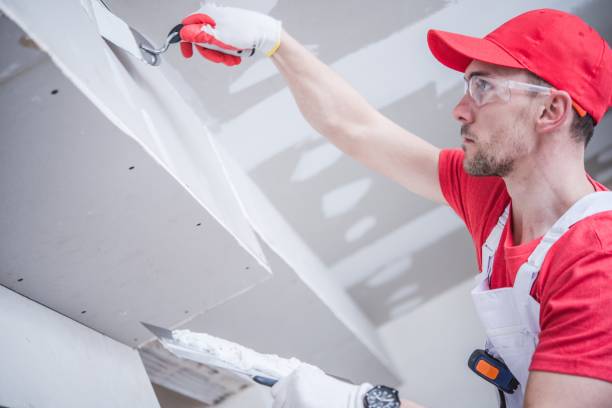 Best Fire-Damaged Drywall Repair  in Franklin, TX